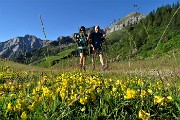 All’Angelo di CIMA CADELLE (2483 m) dalla Baita del Camoscio (1750 m) il 23 giugno 2018 - FOTOGALLERY